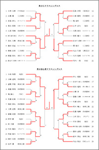 第20回三条市民スポーツ大会バドミントン大会結果