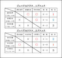 第21回三条市民スポーツ大会バドミントン大会ジュニアクラス結果